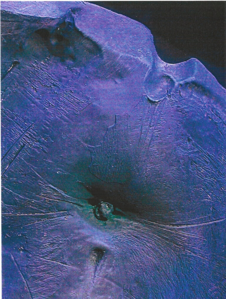 arte 2_edited